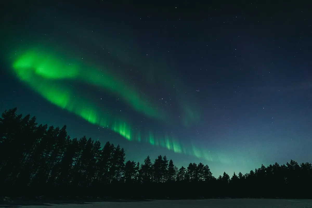 Aurora-Borealis-Over-a-Forest